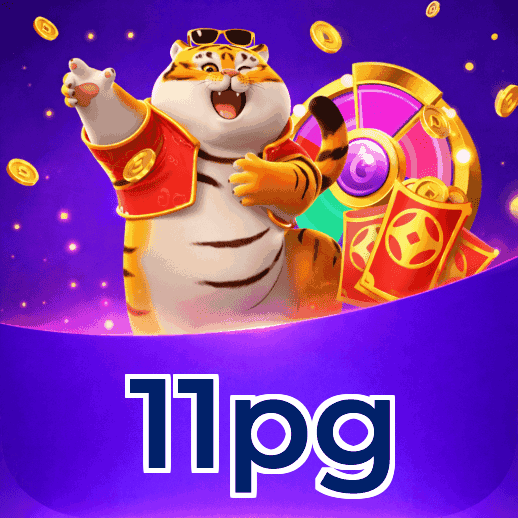 Métodos de pagamento aceitos na 11pg